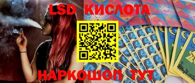 индика Бердск