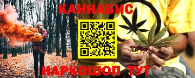 индика Бердск