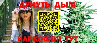 индика Бердск