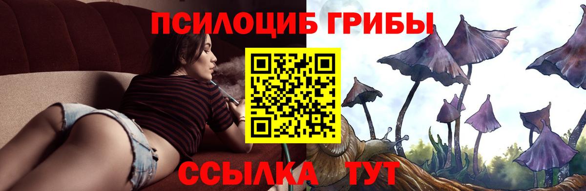 Сосновый Бор  цена наркотик  Галлюциногенные грибы прущие грибы  Вход с VPN  Псилоцибиновые грибы прущие грибы 